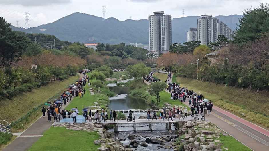정관생태하천학습문화축제 사진 8