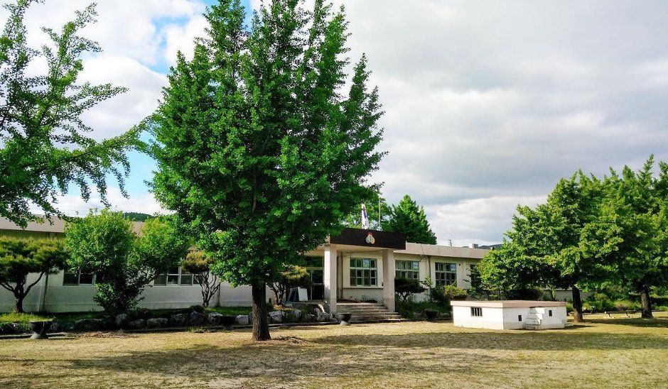충주 비내오토캠핑장