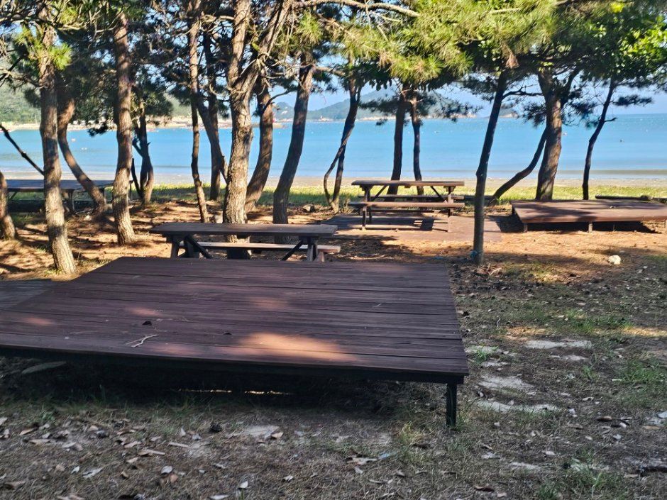 신전해변