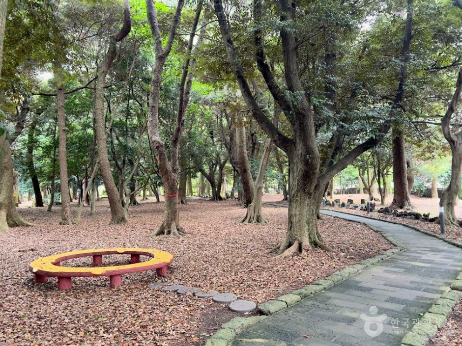 제주 삼성혈