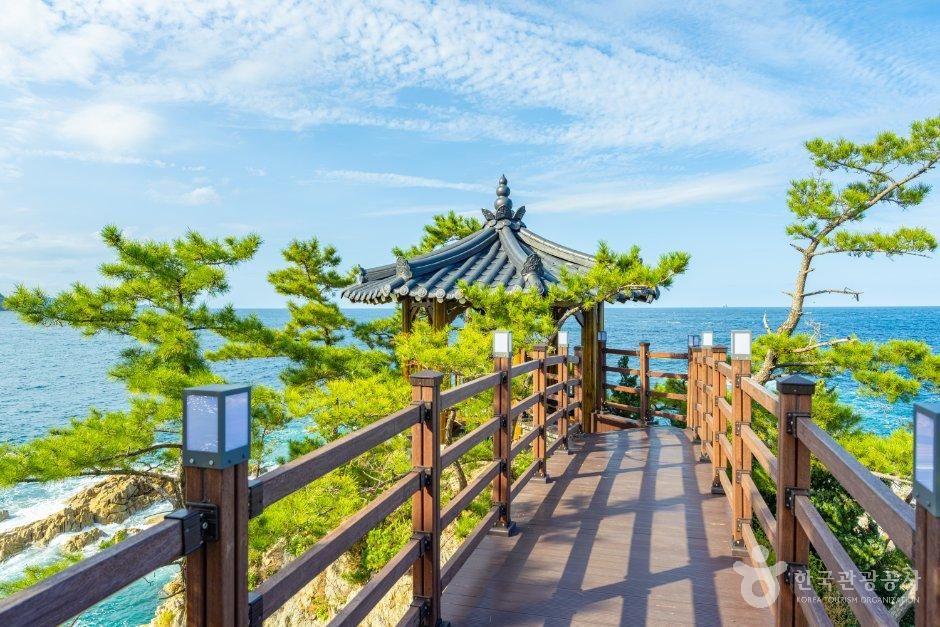강원_삼척시_장호어촌체험마을 (7).jpg