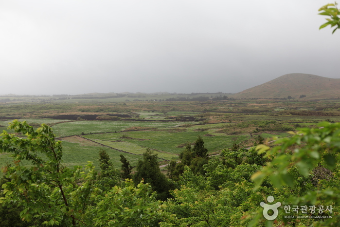 다랑쉬오름(월랑봉)