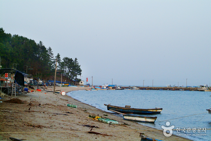 율포솔밭해변 및 해수풀장 율포솔밭해변 및 해수풀장