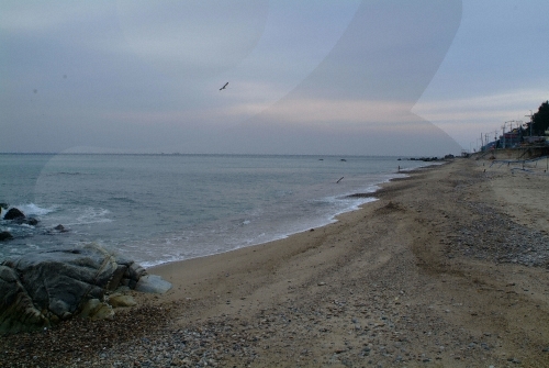 망양정해수욕장 망양정해수욕장