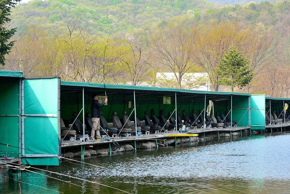 默里 釣り場