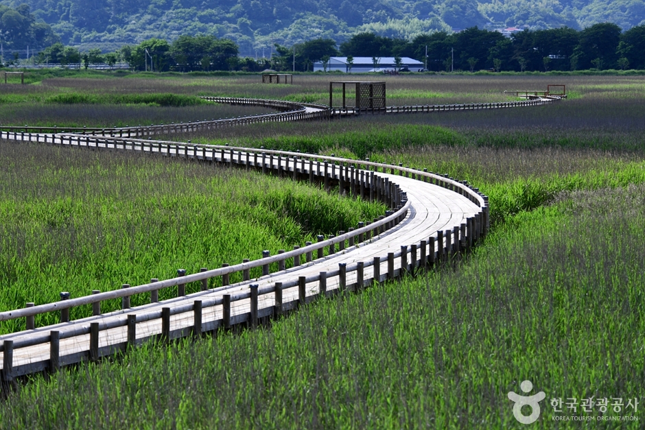 Beolgyo Ecological Park
