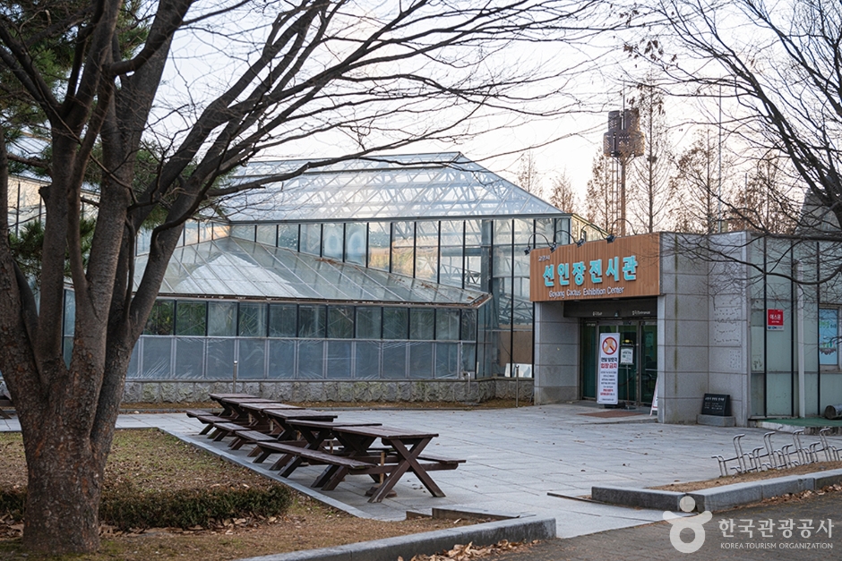 고양 선인장전시관