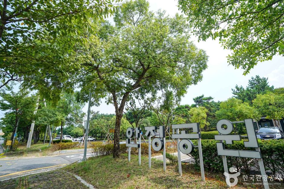 安定近隣公園