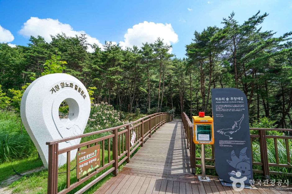 Healing Forest Barrier-Free Trail