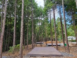 국립남해편백자연휴양림