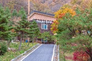 데미샘자연휴양림