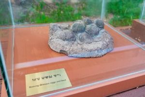 보성 비봉리 공룡알 화석산지