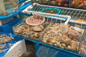 서울_가락수산시장 (5)
