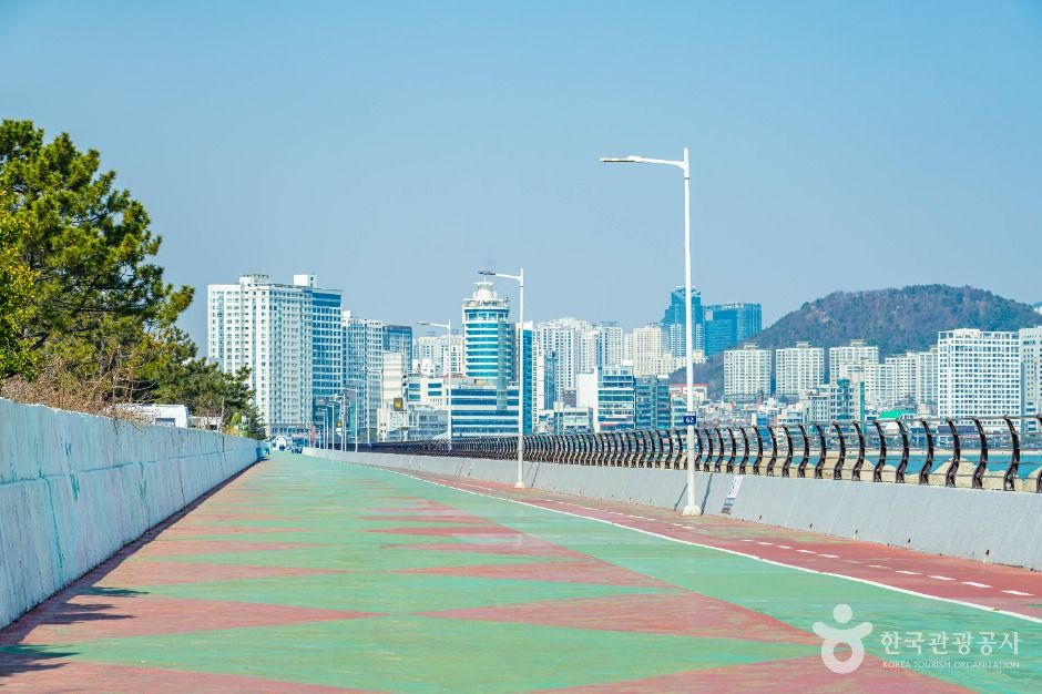 Samick海滩水边公园