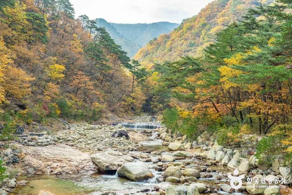 雪岳山 五色酒殿谷