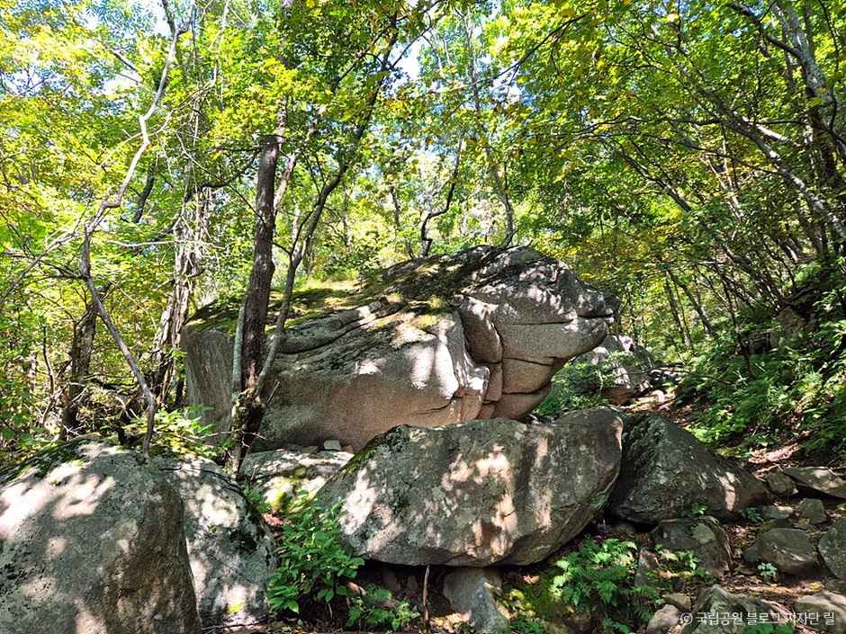 영주_소백산 국망봉 돼지바위 (3).jpg