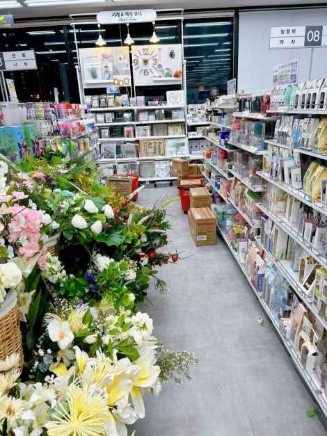 [事後免税店]DAISO（ダイソー）・ソグィポジュンムン（西帰浦中文）店(다이소 서귀포중문점)