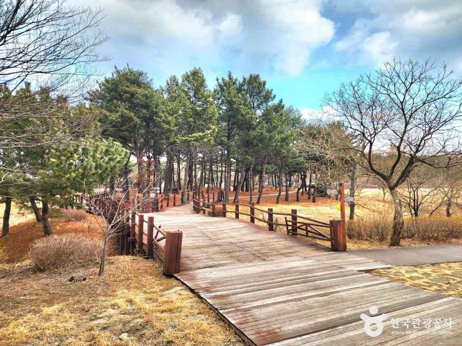 강원_양양_오산리 선사유적박물관_외부_5.jpg