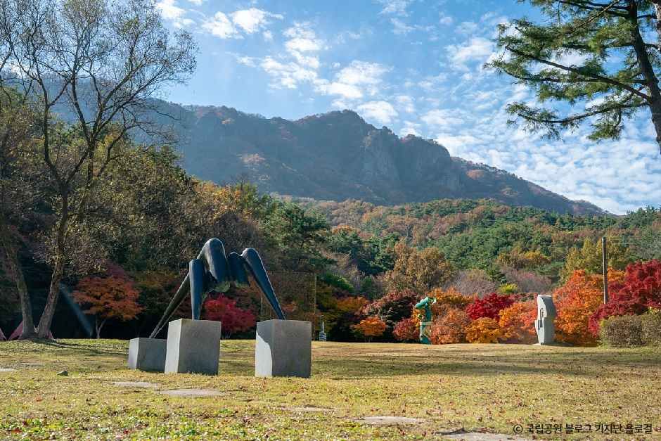 내장산조각공원
