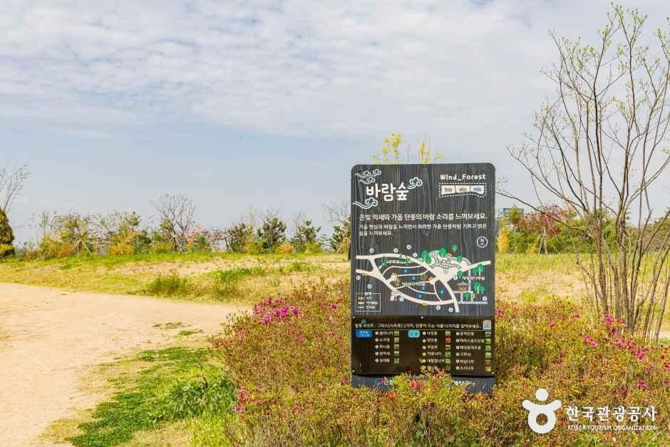 인천_계양구_계양꽃마루 (6)