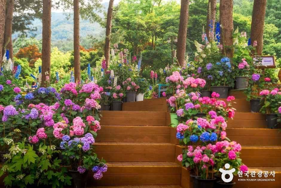 晨静树木园