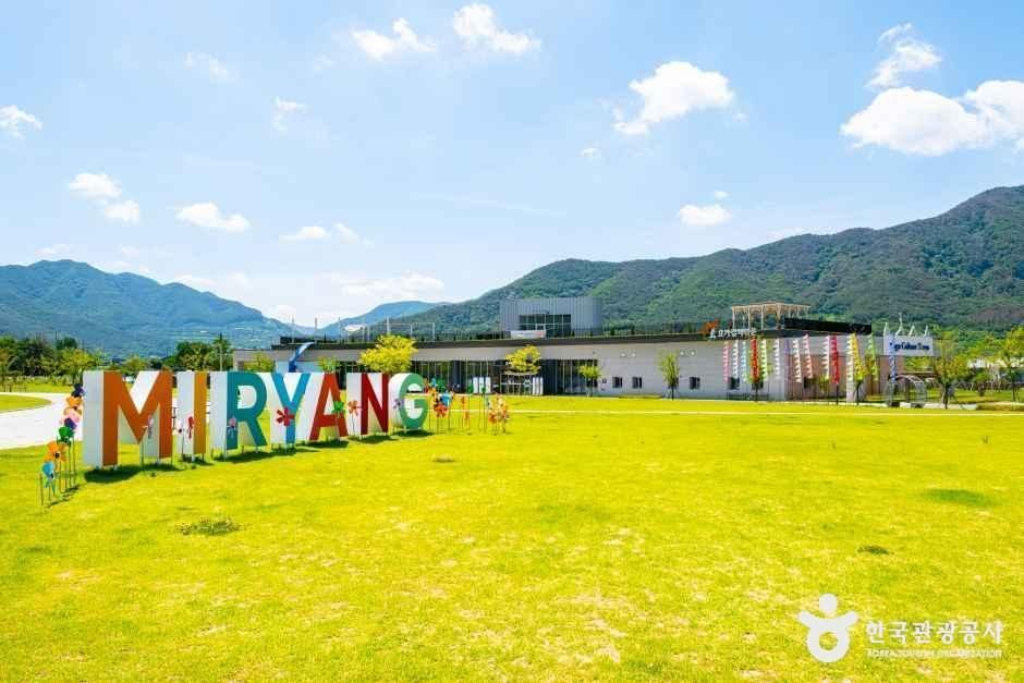 Yoga Culture Town