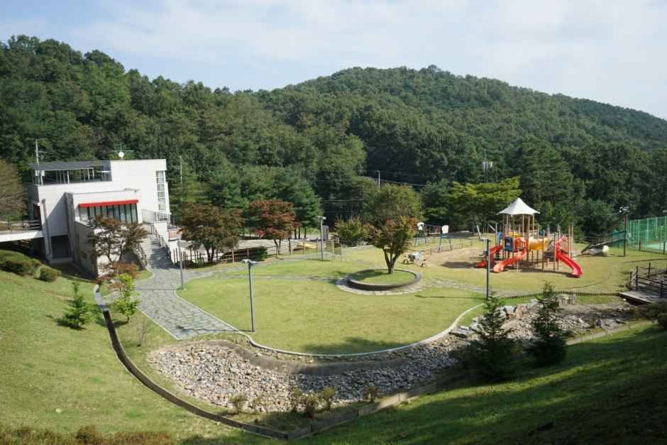 덕산국민여가캠핑장 사진 3
