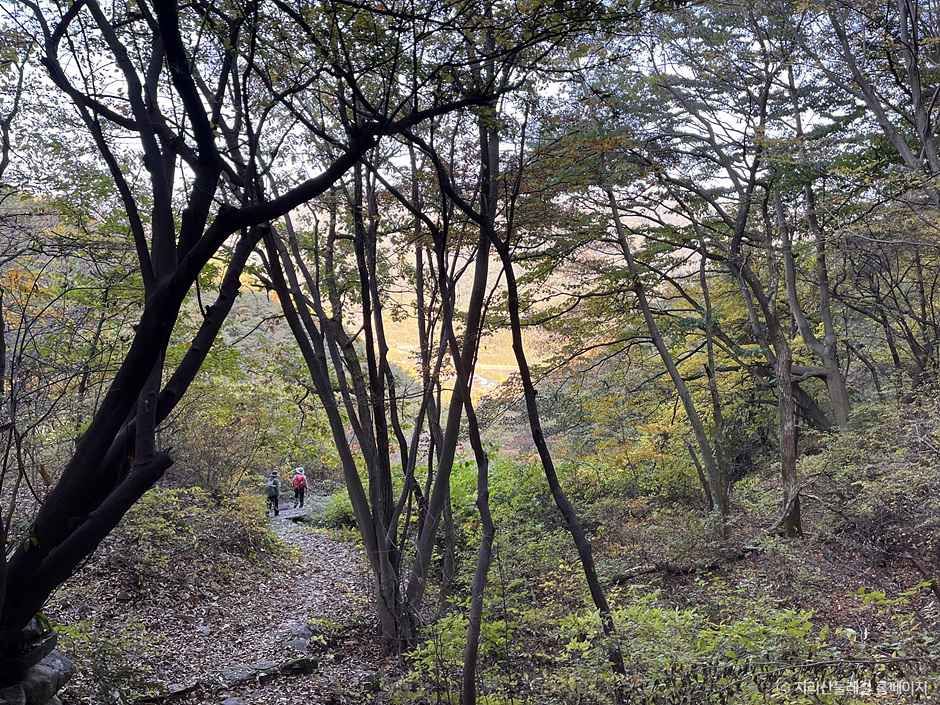 하동_[지리산둘레길] 위태-하동호 (1).jpg