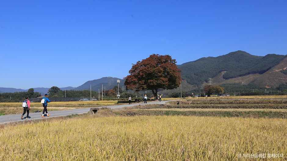 [지리산둘레길] 방광-산동 이미지 1