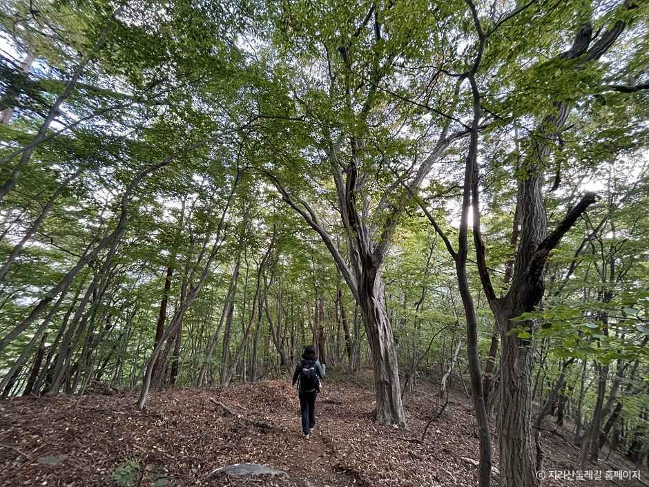 [지리산둘레길] 대축-원부춘
