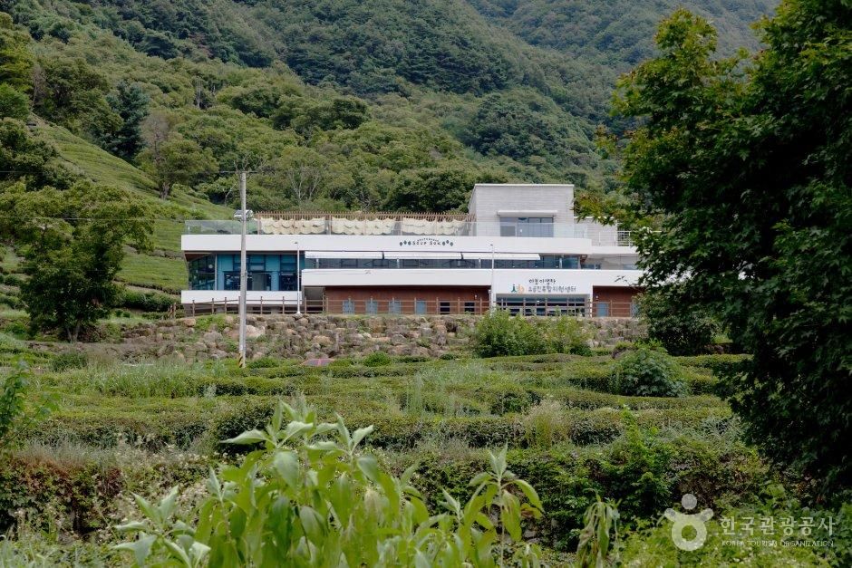 숲속