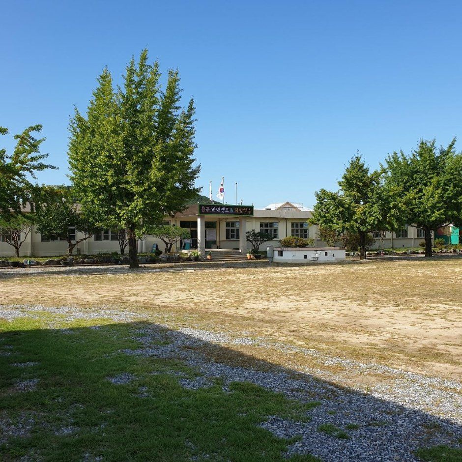 충주 비내오토캠핑장