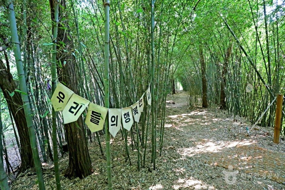 면천읍성 대숲바람길