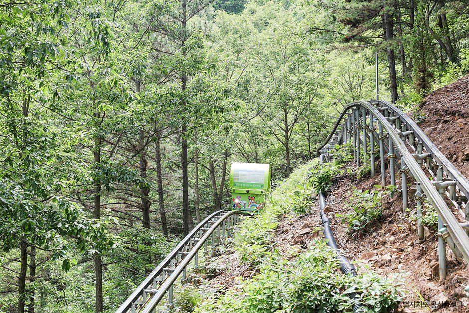 무주향로산자연휴양림 사진 8