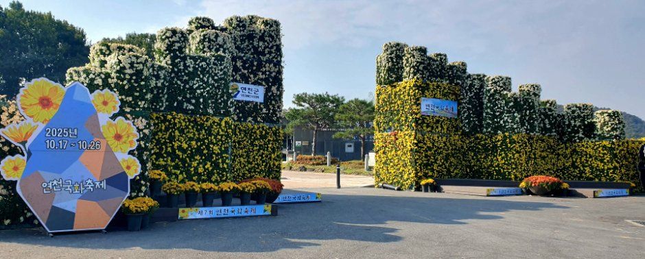 Yeoncheon Chrysanthemum Festival