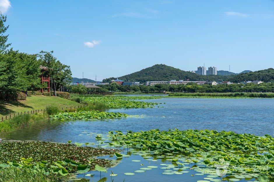花郎游乐园