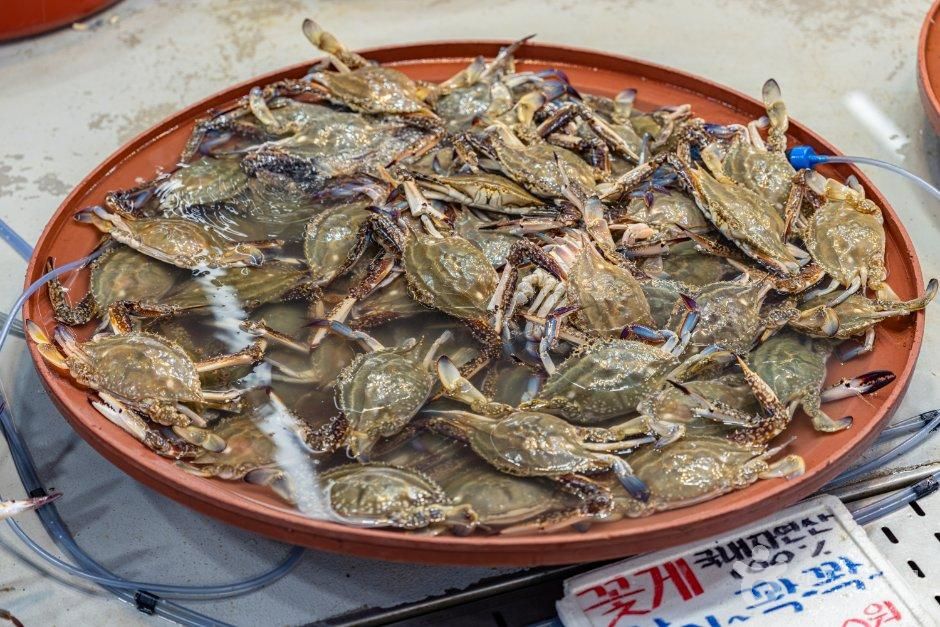 대명항수산물직판장