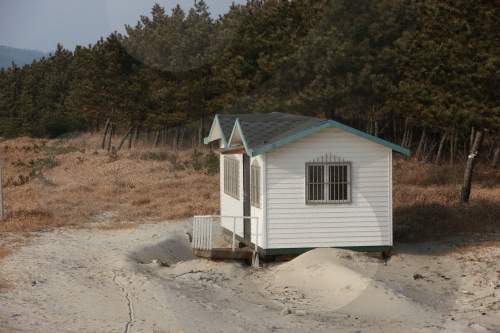 증도 우전해수욕장 증도 우전해수욕장
