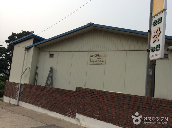 춘천잣 (춘천농산)