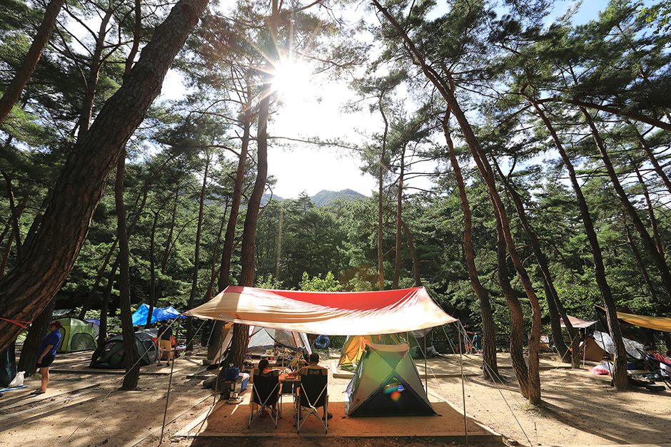月岳山国立公园德主露营地