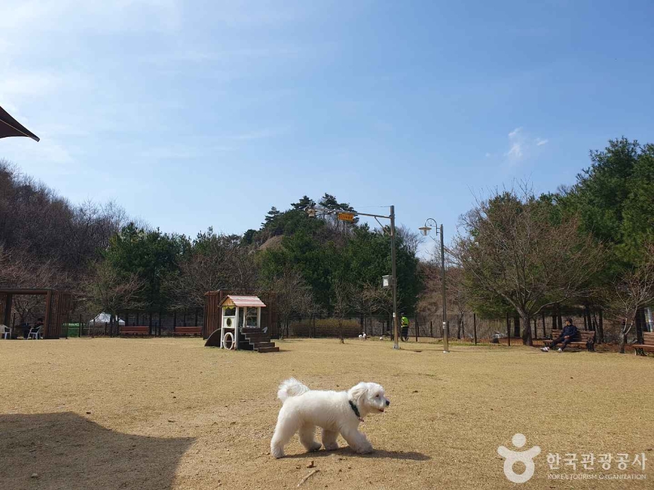 アルムドゥル愛犬休憩所