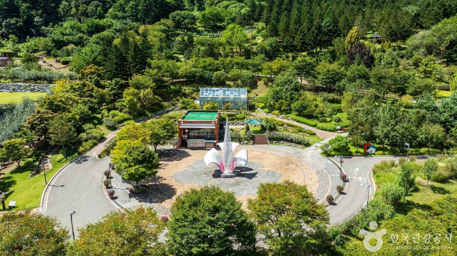 木槿花树木园