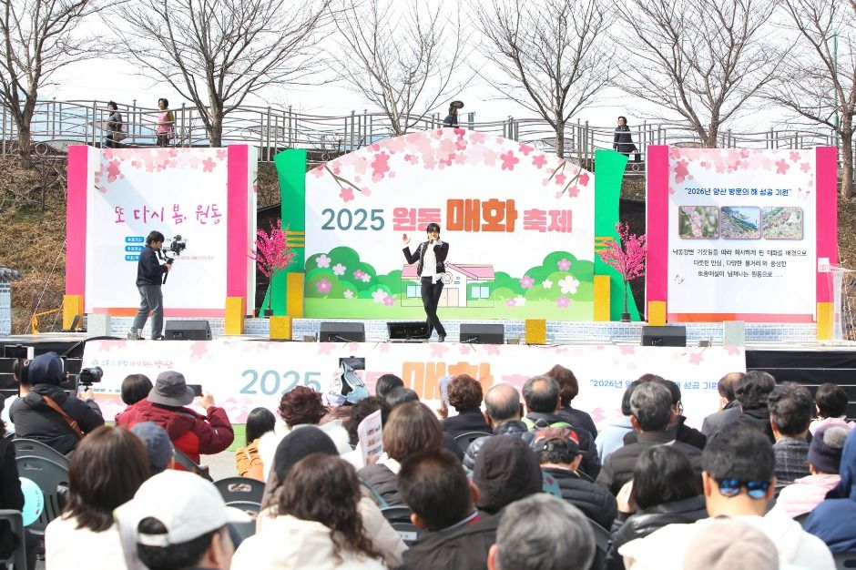 원동매화축제