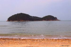 태안_천리포해수욕장 (4) 미리보기