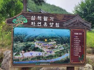 삼척활기자연휴양림