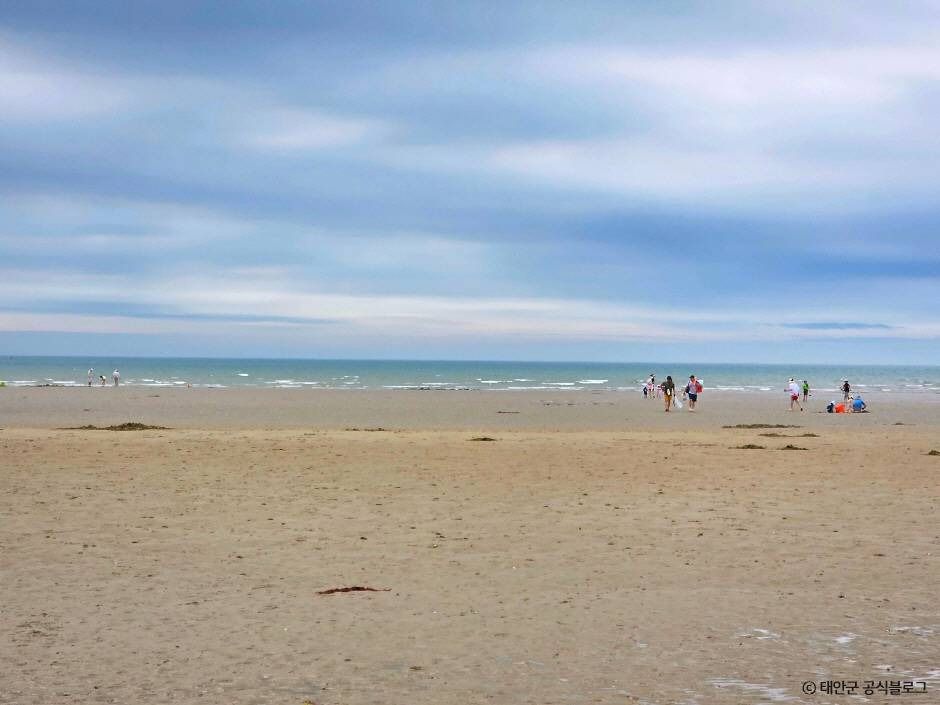 达山浦海滩