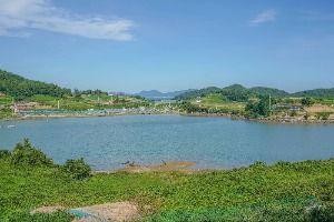 백일도 전경 2