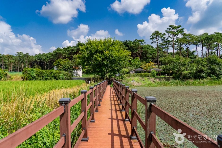 大井貯水池