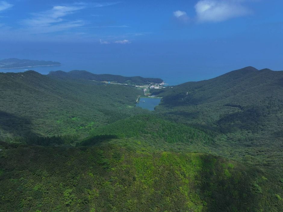 Bongnaesan Mountain (Goheung)