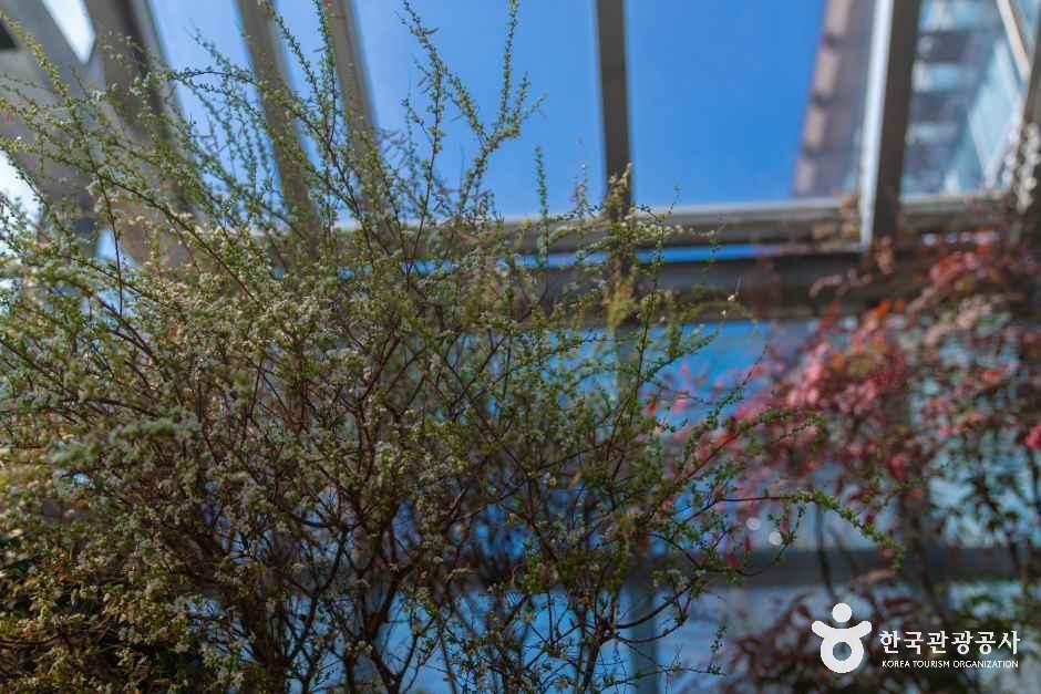 화성시 우리꽃식물원